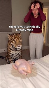 Every cat brings home a gift eventually