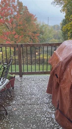 What the HAIL?! 😳😱 | Sarah Burk