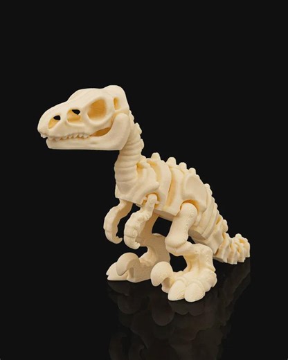 3d-printed Articulated Skeleton Velociraptor Model - Etsy