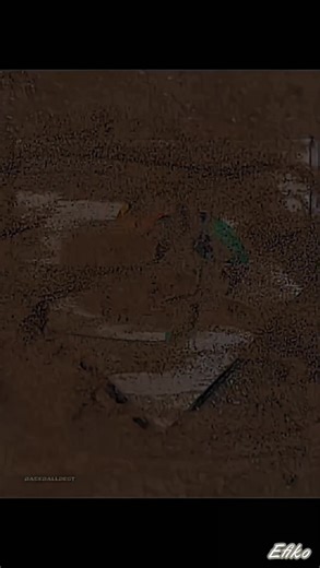 World Series Classics: A Celebration of Major League Baseball