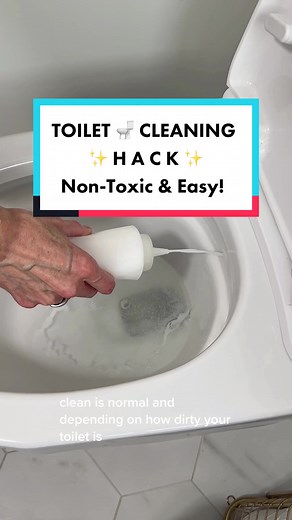 TOILET 🚽 CLEANING ✨ HACK ✨ Non-Toxic & Easy!