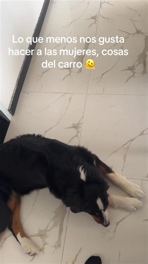 Estrategias divertidas para el cuidado del carro