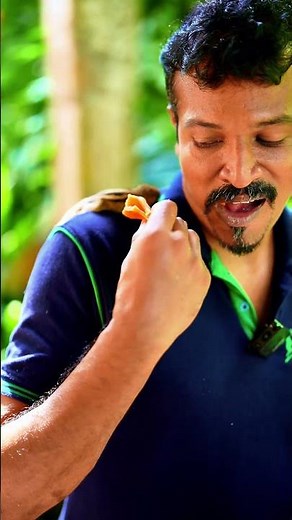 What do squirrels eat?