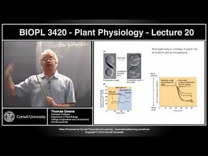 BIOPL3420 - Plant Physiology - Lecture 20