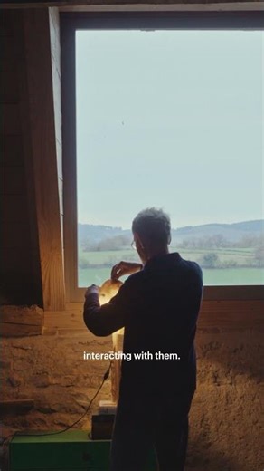 Inside a furniture designer's remote farmhouse in France