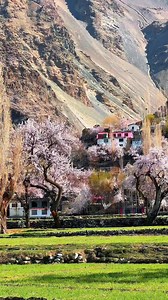 30 reactions | Filmmaker | Videographer | Tour Operator  Gilgit Baltistan | Pakistan for trips & Queries +92-3472814416 | Mubeen Taqi photography | Facebook