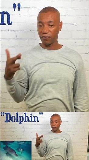 How to sign “Dolphin” in ASL