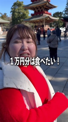 成田山での食べ歩き体験