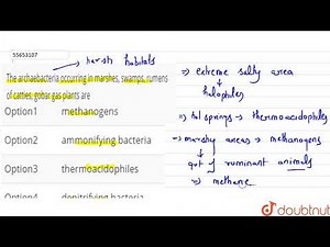 The archaebacteria occurring in marshes, swamps, rumens of catties, gobar gas plants are