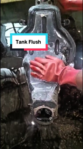 Reviving My Bike: Tank Flush and Build Progress