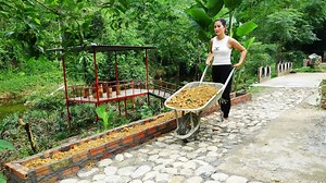 9K views · 131 reactions | Arrange many stones to make a yard, Build flower beds with bricks and plant flowers | Free Bushcraft | Facebook