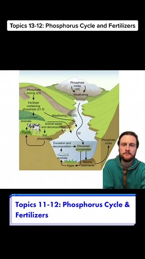 Understanding the Phosphorus Cycle and Organic vs. Inorganic Fertilizers