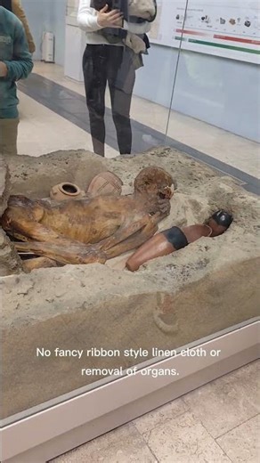 Glebian Man in the British Museum , London , Naturally mummified 5000 year old man , How did he die?