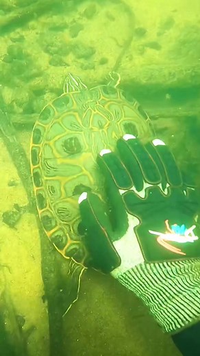 AdamBrownAdventures on TikTok