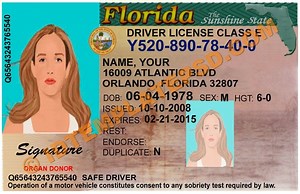 Florida Drivers License Templates