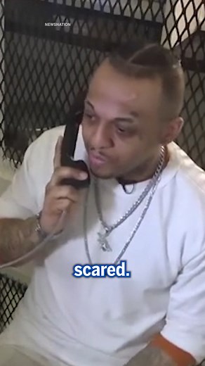 28K views · 112 reactions | His wife and dog watched  | Daily Mail Video | Facebook