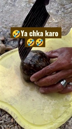 He Cut Open This Mysterious Sea Creature… What's Inside Is Shocking! 😱🌊