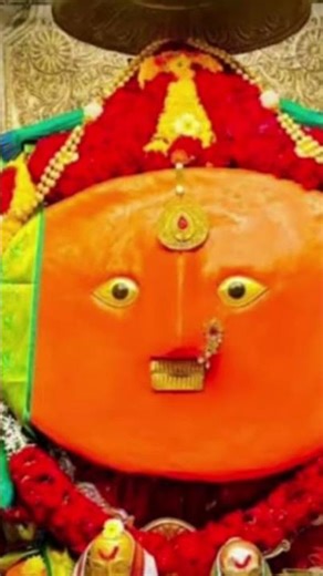 zanj gholun vajv jra 🙏