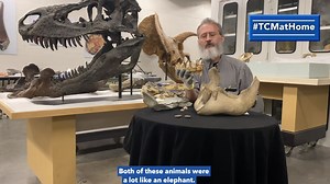 There are no dinosaur bones here in Indiana, but we do have some pretty cool and interesting fossils around the state from all kinds of animals. Listen to our Curator of Natural Science, William Ripley, tell you all about them! https://bit.ly/3dBqbrG | The Children's Museum of Indianapolis