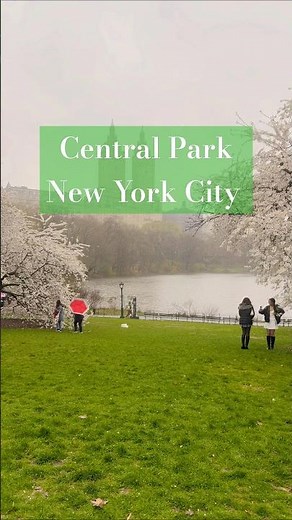 Exploring Central Park: New York’s Hidden Oasis 4k 🌷🌲 #centralpark #newyorkcity
