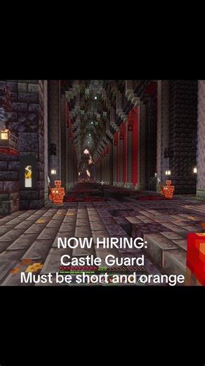 Exploring Little Guards in Minecraft Hermitcraft