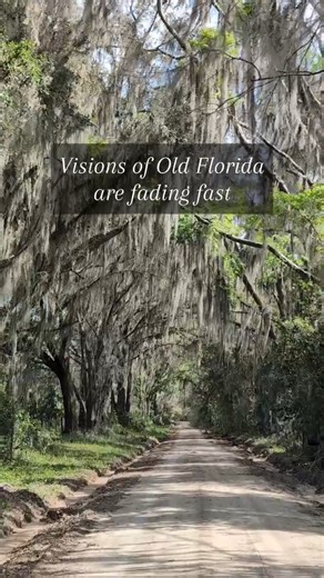 Old Florida is disappearing under concrete, but if you go looking for it, you can still find glimpses of what it used to look like, tucked along the backroads. Places like Evinston in Alachua County, where I filmed this video, still hold onto that quiet magic; with dirt roads draped in Spanish moss, historic sites still standing, and that slow, peaceful feeling you don’t find in many places anymore. If you’re searching for more glimpses of Old Florida, here are a few places worth exploring: 🌿 M