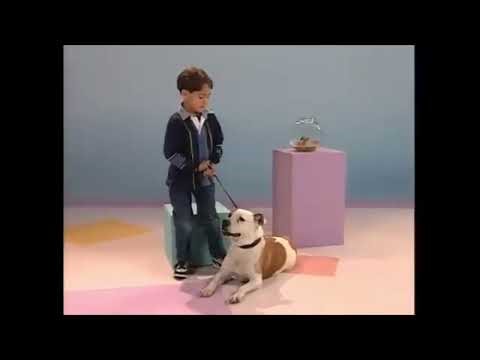 Elmo's World Kids and Baby Segments #12: Dogs #elmosworld