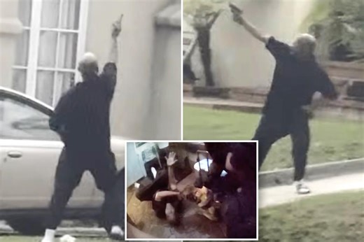 Gunman fires at LAPD helicopter before police dog takes him down, wild new video shows