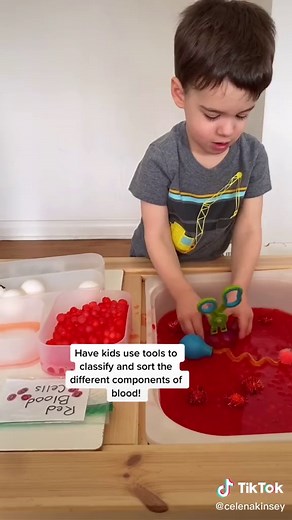 Interactive Blood Lesson for Kids: Learn About Blood Components!