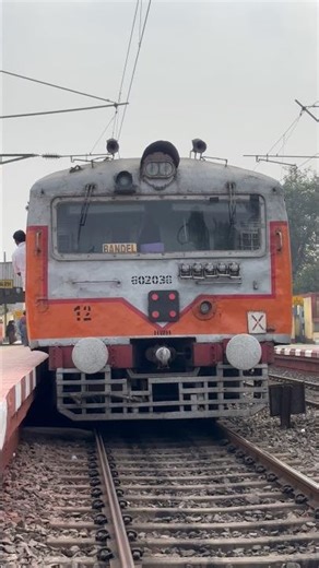 New Color Emu Local Coming #shorts #ytshorts