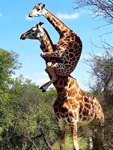 Mind-Blowing Creature Captured on Camera