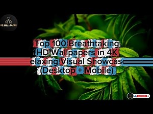 Top 100 Breathtaking HD Wallpapers in 4K | Relaxing Visual Showcase (Desktop + Mobile)