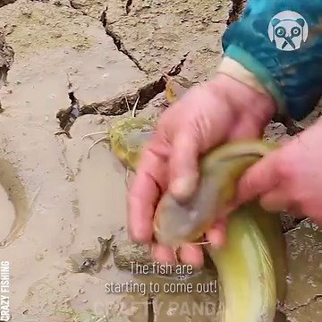 4.5M views · 54K reactions | Using a snake to catch fish underground Partner: Crazy Fishing | Awesome | Facebook