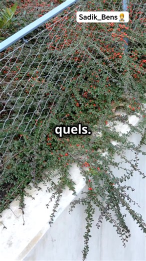 Gestion d’un chantier de A à Z : Guide complet | Ingénieur travaux publics