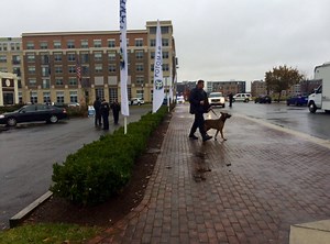 Police Identify Suspects in Armed Bank Robbery