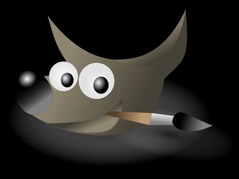 CAPÍTULO 15 : COMO VOLTEAR UNA IMAGEN