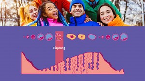Menstruation – der weibliche Zyklus (Basiswissen) | sofatutor.com
