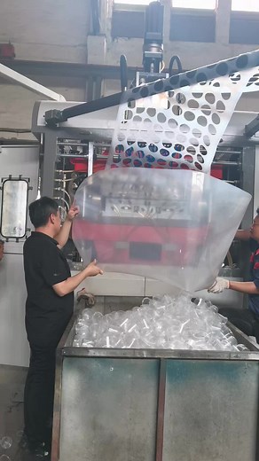 Thermoformed Sauce Cup Mold for Algerian Customers