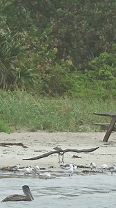 264K views · 4.9K reactions | Nature Doesn’t Always Follow the Script...