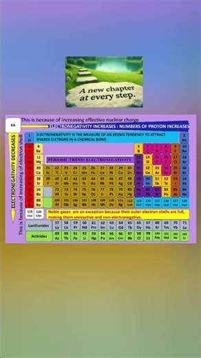 Periodic Trend of Electronegativity #chemistry
