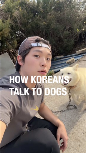 Enhance Your Korean Speaking Skills with Teuida