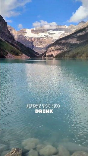 Lake Louise! It’s got what plants crave! Banff National Park 🇨🇦