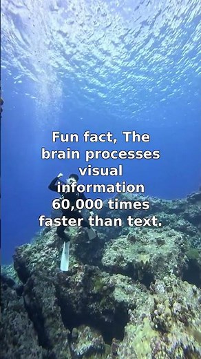 Brain vs. Text: The Speed of Visual Processing
