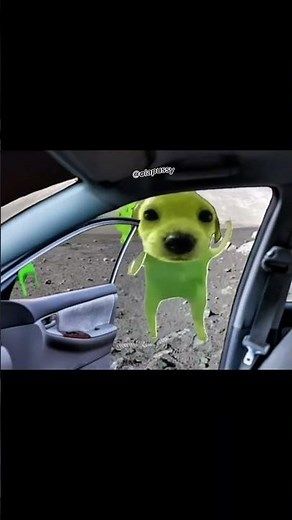 Gog the Alien Dog X Shooting Stars | Meme