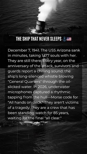 THE SHIP THAT NEVER SLEEPS ⚓️