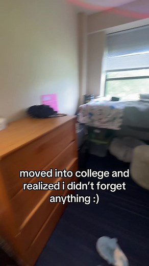 DORM KITTY! Discover College Life with Cats