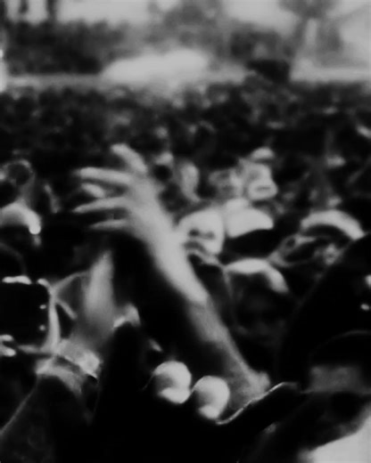 Get ready to get wild with the king punk rocker himself, Iggy Pop on September 29. 📸: Iggy Pop | The Anthem