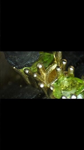 From Mount to Masterpiece: Peridot & Diamond Setting in Gold | Handcrafted Perfection 💚✨