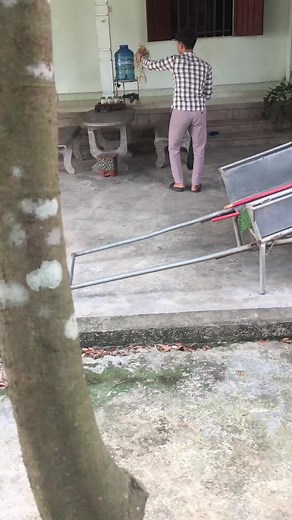 Bắt Ong Nha: Kỹ Thuật Diễn Ra Trong Video