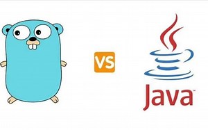 Java && Golang对比学习